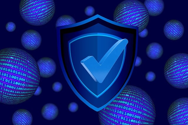 Elevate your Data Privacy & Protection Skills